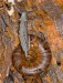 snail_052.jpg